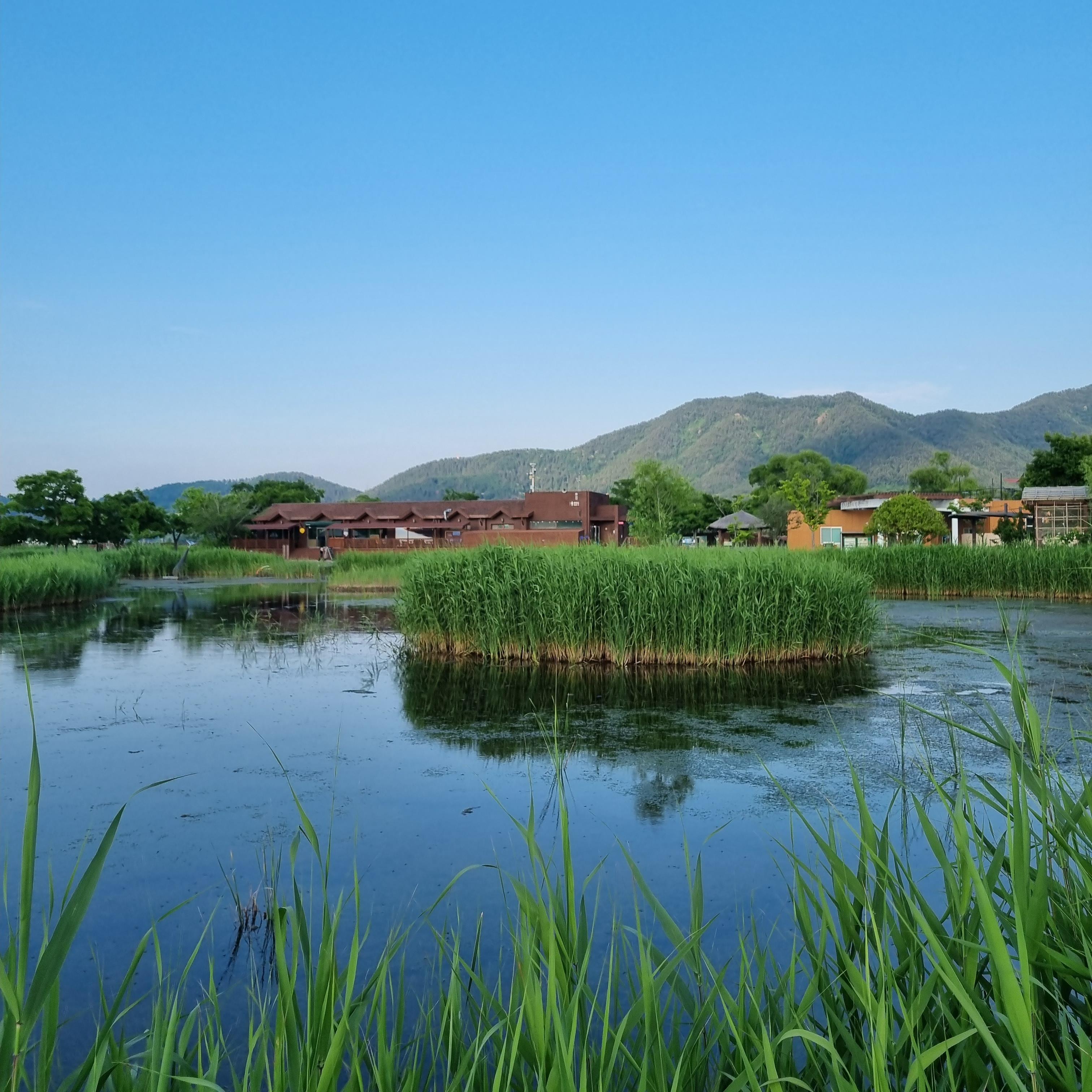 순천만습지 호수