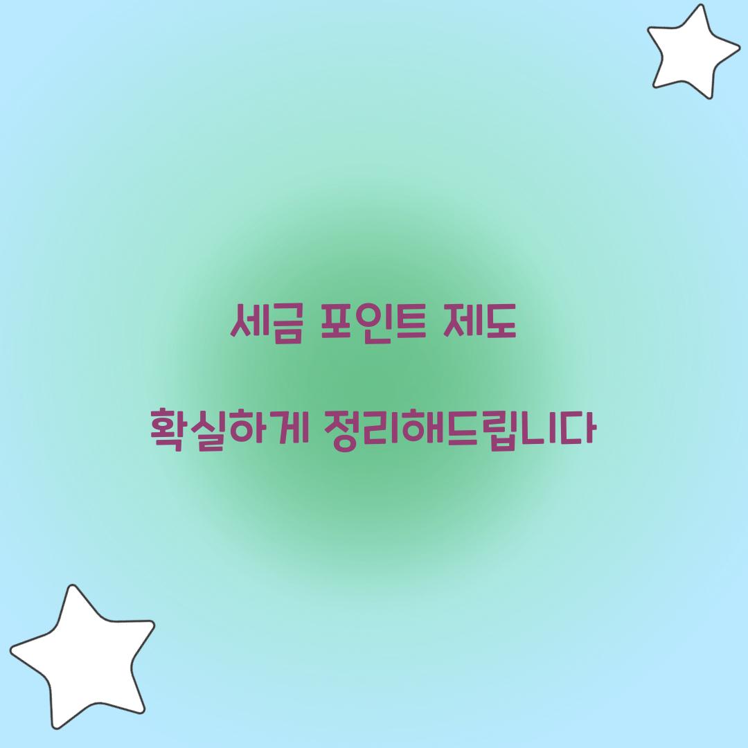 세금 포인트 제도 확실하게 정리해드립니다