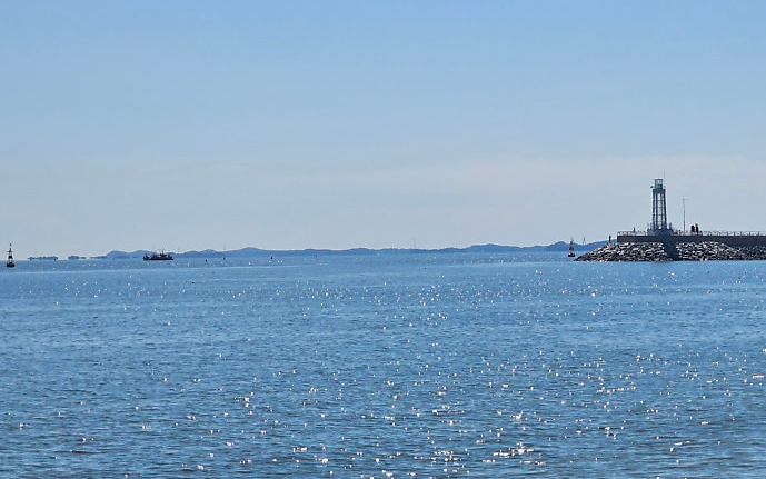 2025 제30회 홍성남당항 대하축제 안내 관련사진