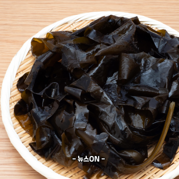 미역 효능