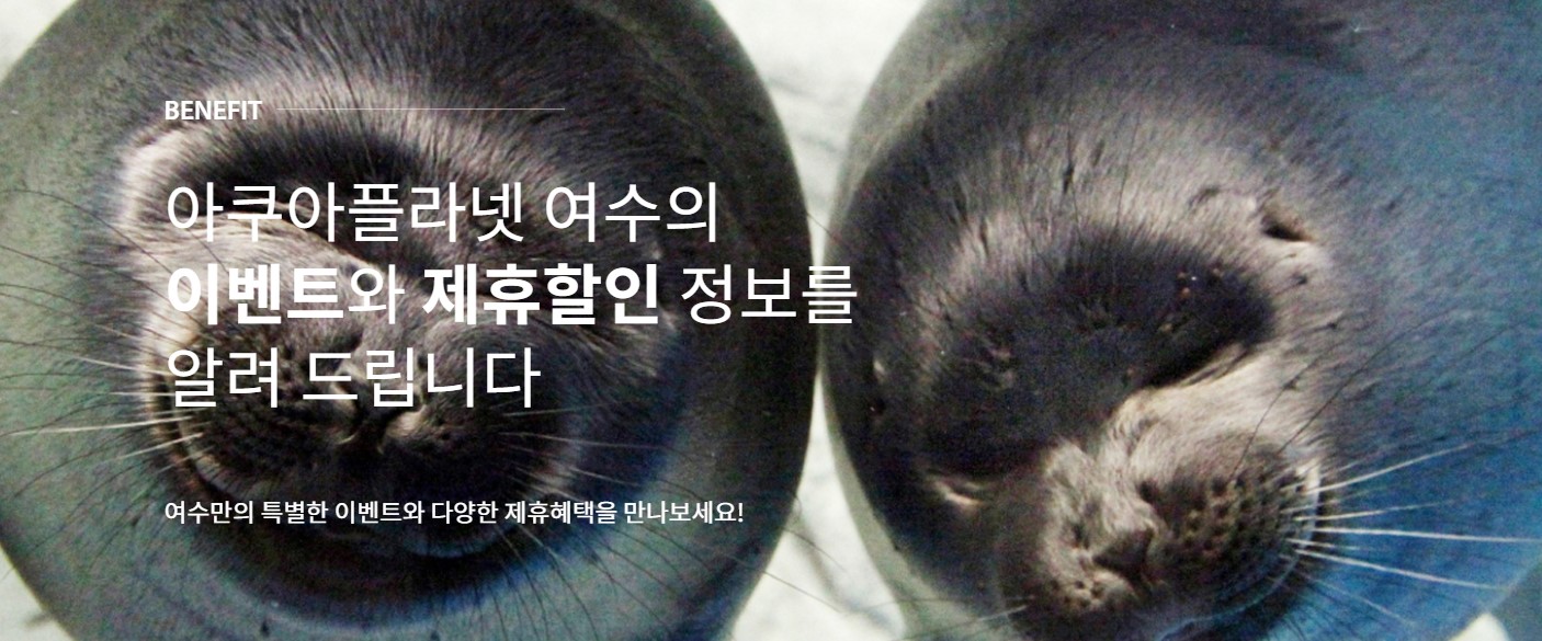 여수-아쿠아플라넷-이벤트