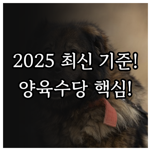 복권기금으로 지원되는 2025 입양특..