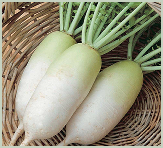 무 섭취시 주의 사항