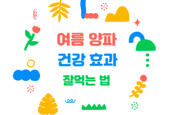 여름철 양파의 건강 효과와 궁합 맞는 식품, 잘 먹는 법, 그리고 보관법