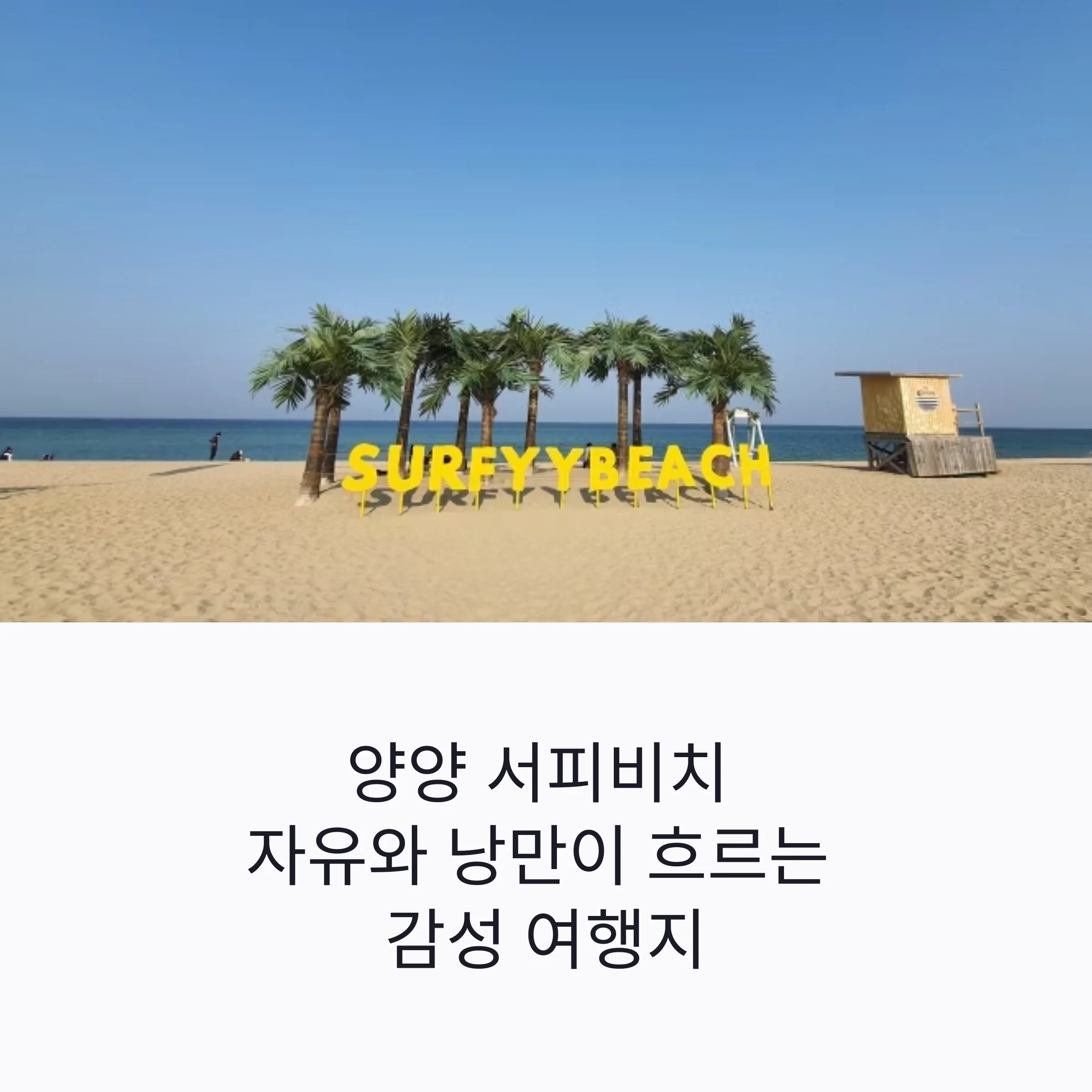 서울근교 양양 서피비치
