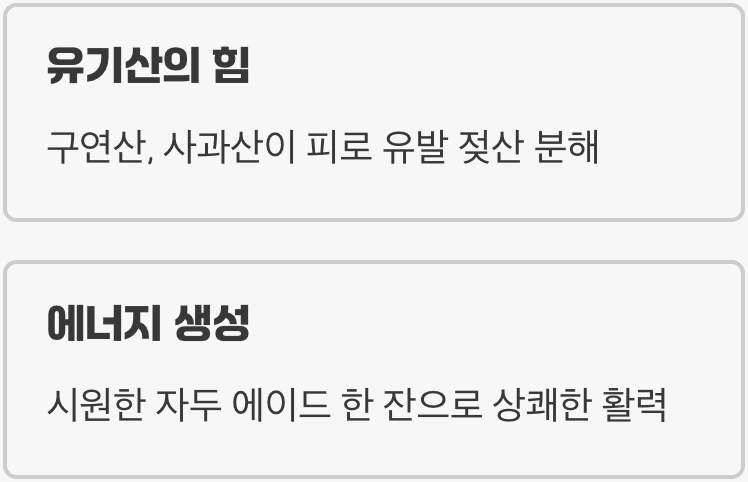 지친 여름, 활력을 깨우는 한 잔