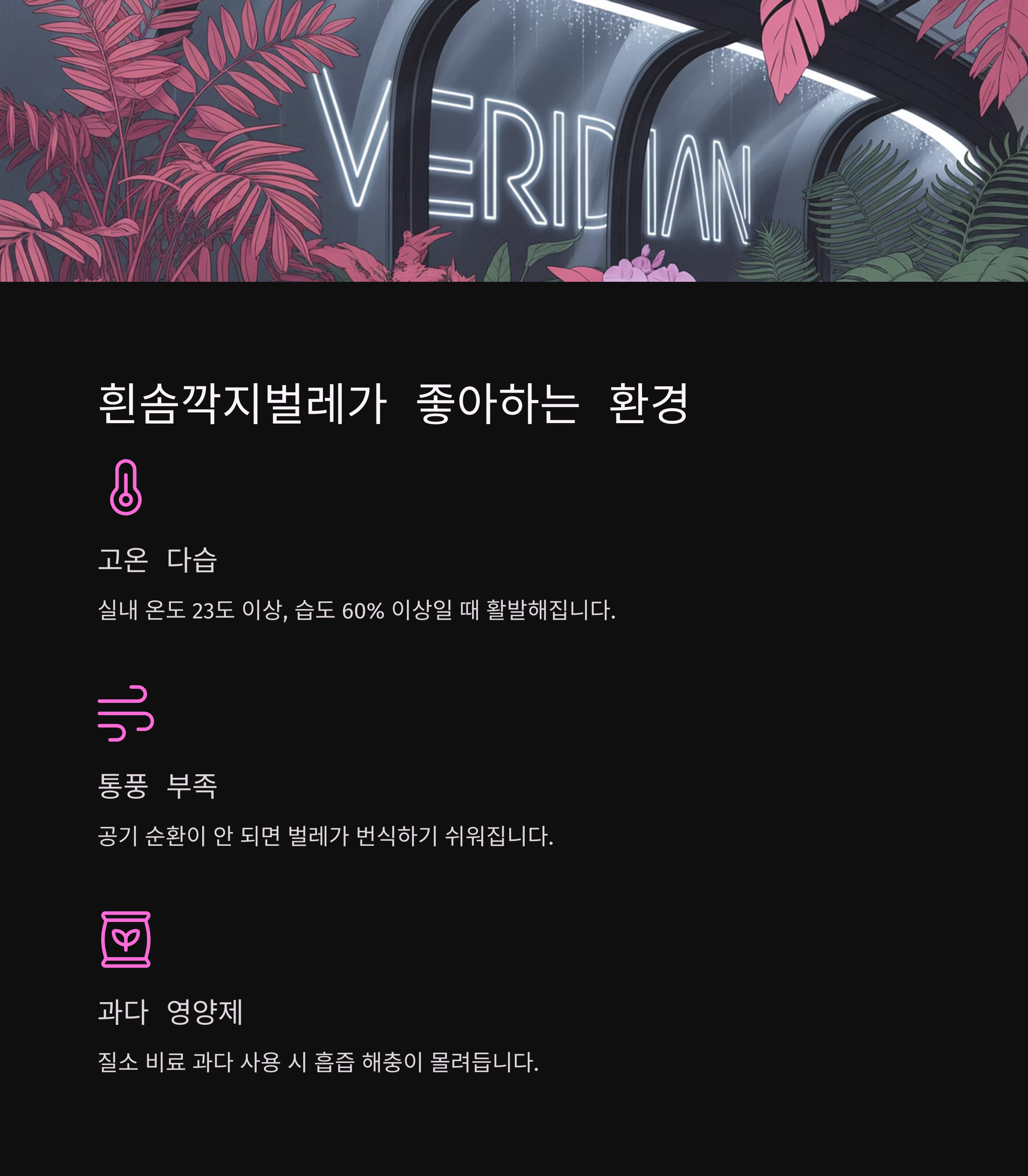 흰솜깍지벌레가 주로 나타나는 조건은?