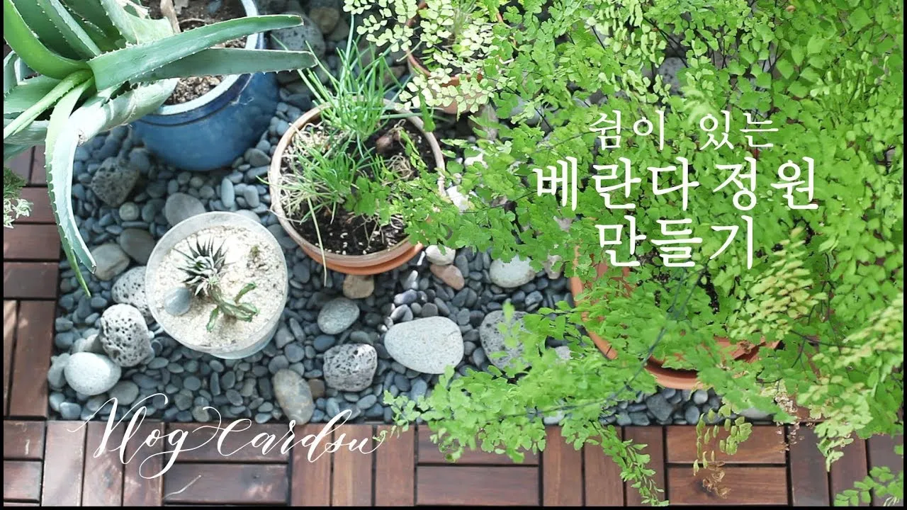 베란다정원 키우기 바람차단 햇빛차광 물주기 여름철 관리 요령_6