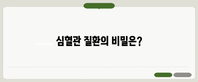 심혈관 질환이란 주요 원인과 예방법