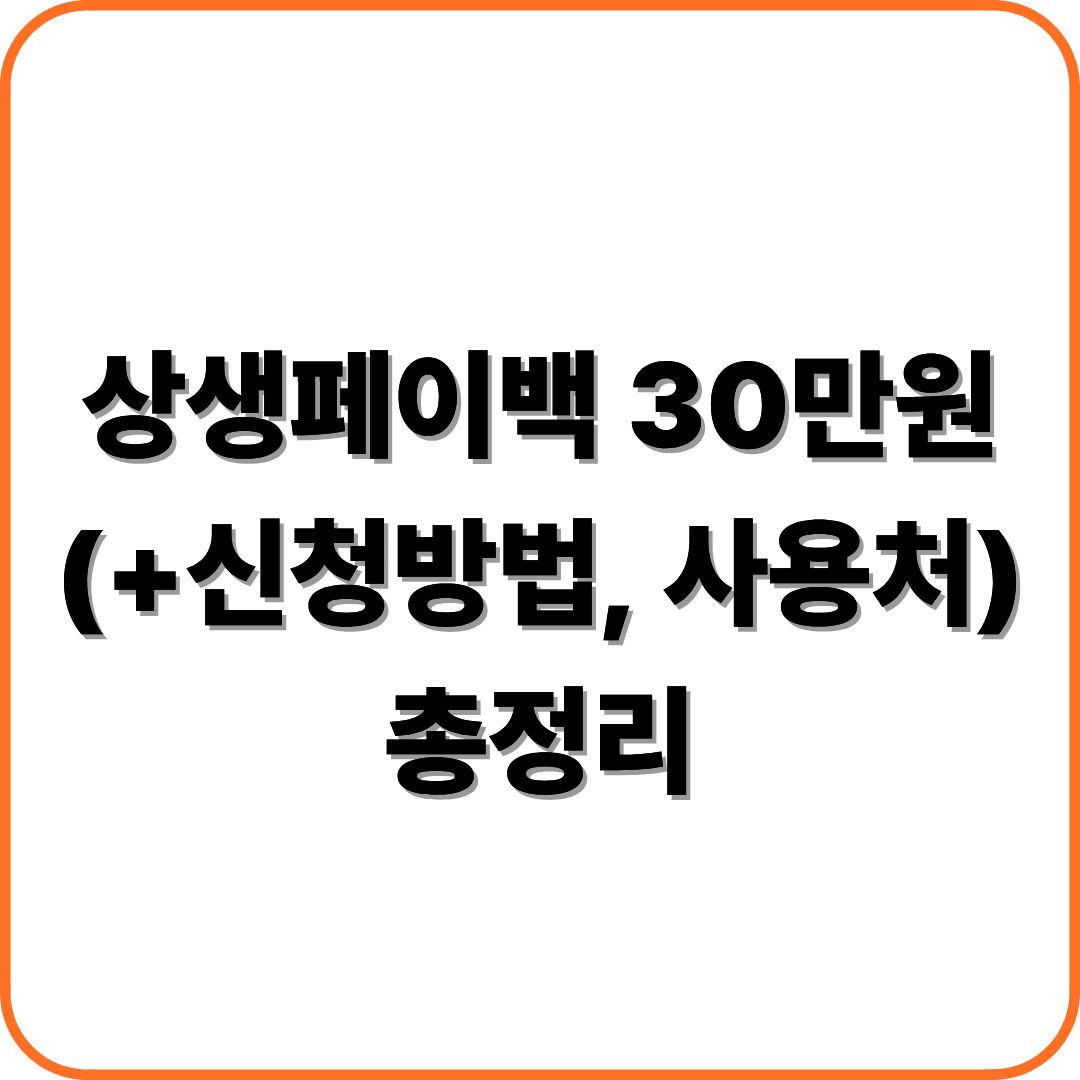 상생페이백 30만원