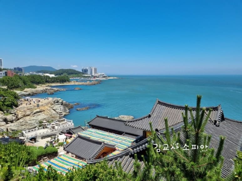 ✨부산 해동용궁사 꿀팁 총정리｜108번뇌, 절밥 공양, 교통정보까지!✨