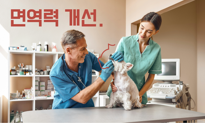 동물-영양제