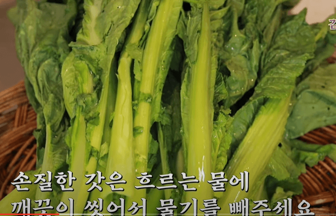 갓김치 담그는법 황금 레시피