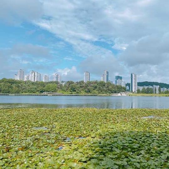 광교호수공원 꽃빛단지