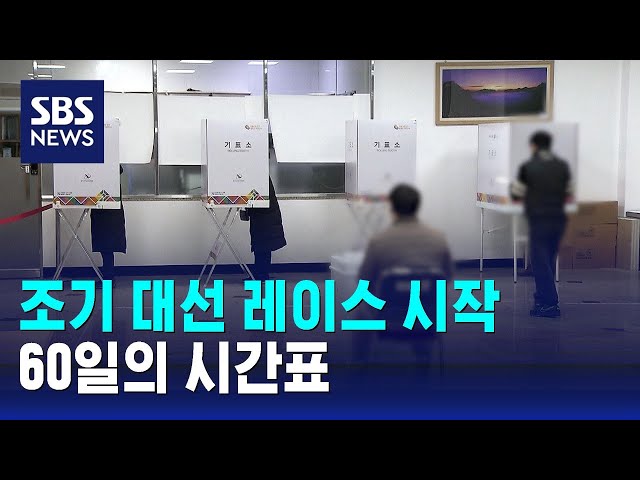 조기 대선일