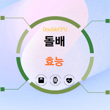 돌배 효능 탐구