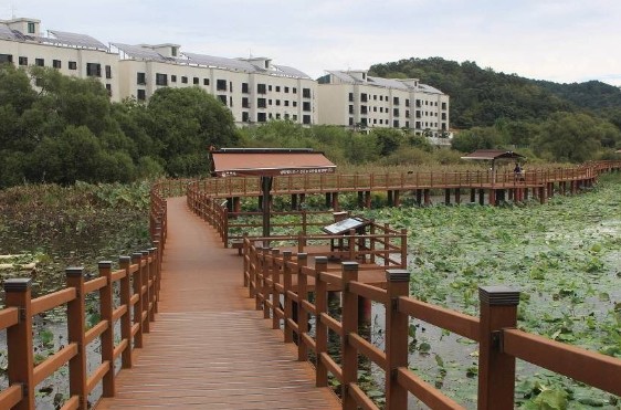 [경남 여행지 추천] 합천 가볼만한 곳 베스트 10 정양늪생태공원