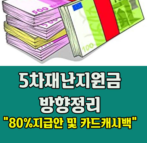 5차재난지원금정리