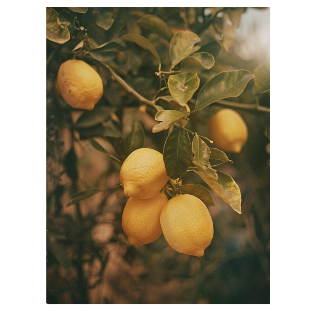 리포좀 비타민C와 관련된 사진입니다.