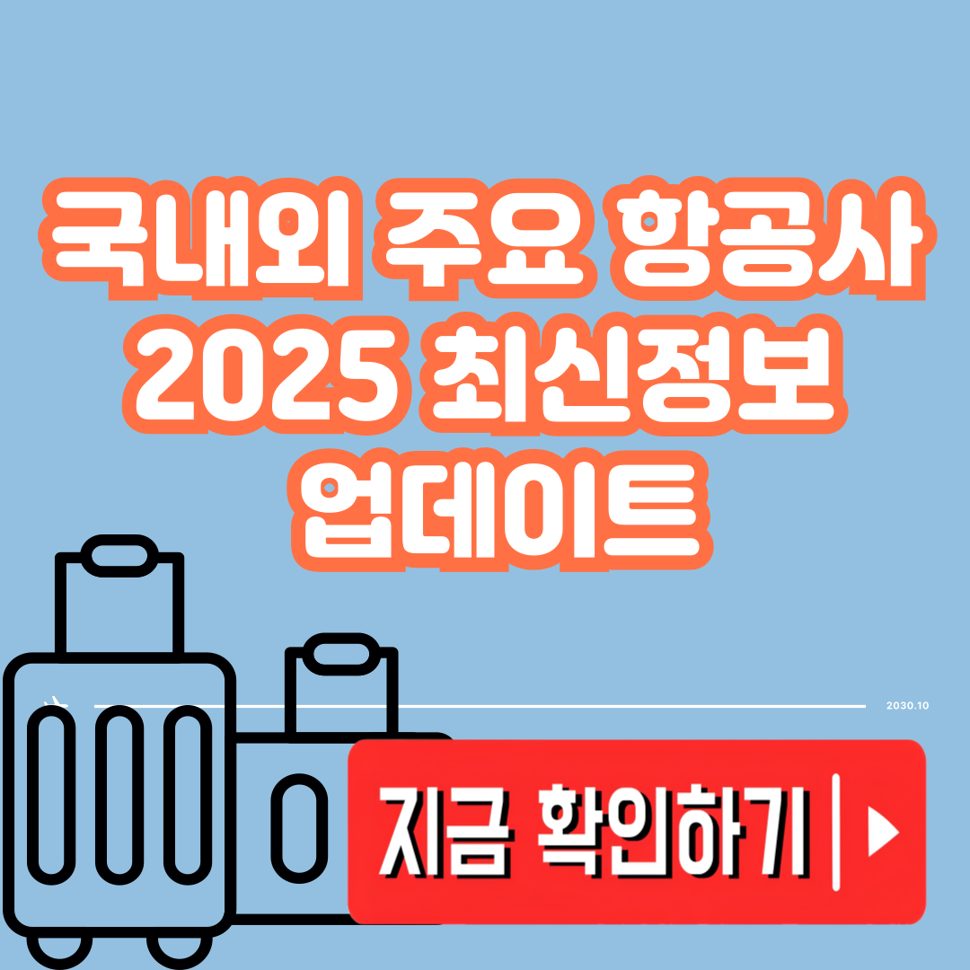 2025 항공사별 수하물 정책 비교