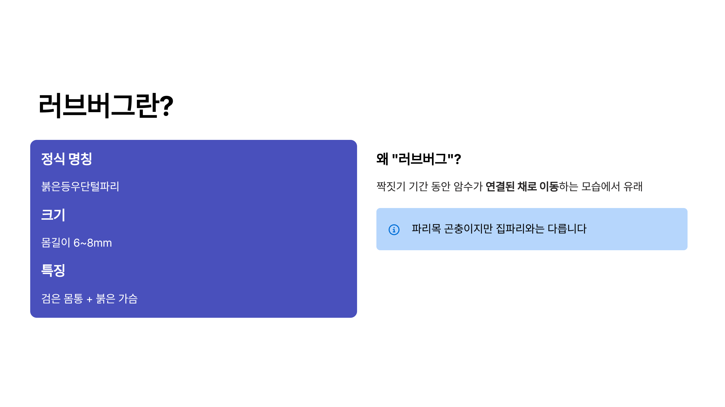 러브 버그
