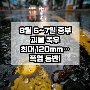 8월 폭우