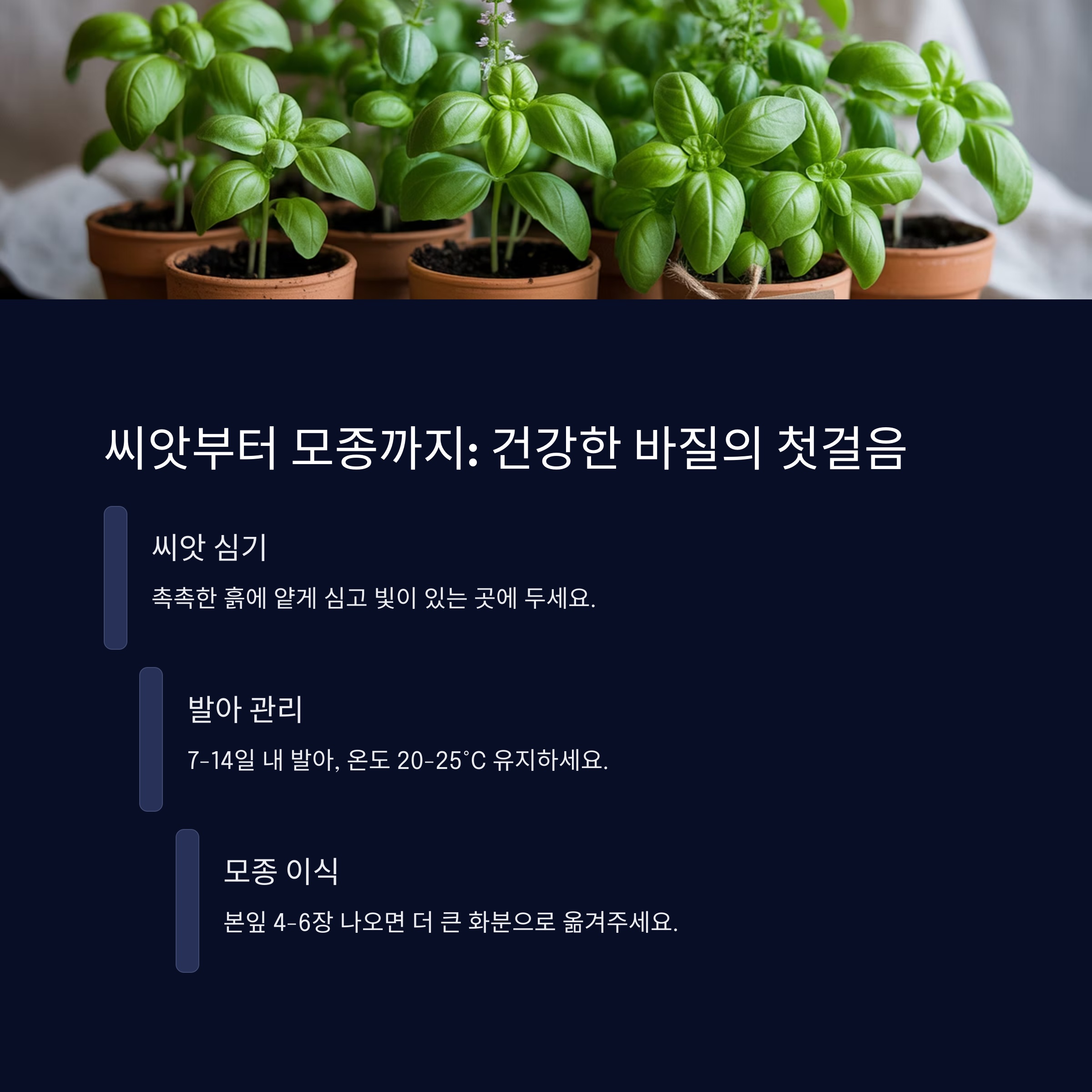 씨앗부터 모종까지: 건강한 바질의 첫걸음