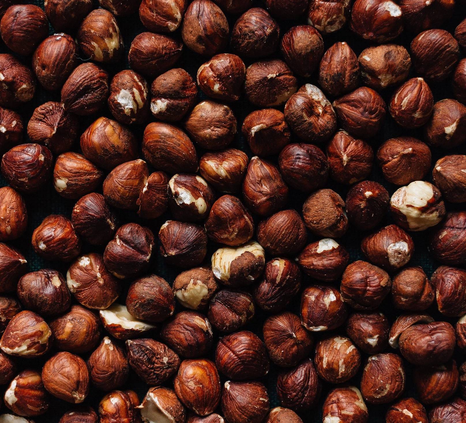 통마카다미아 보관 기간