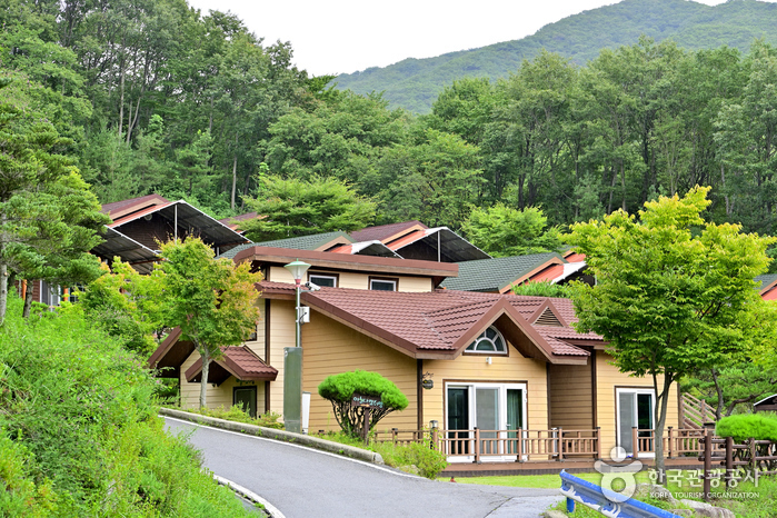 진안 가볼만한곳 베스트10