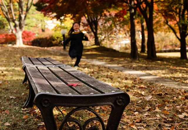 청주공항 국제선 노선 운항정보 취항지 스케줄_9