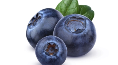 블루베리이미지