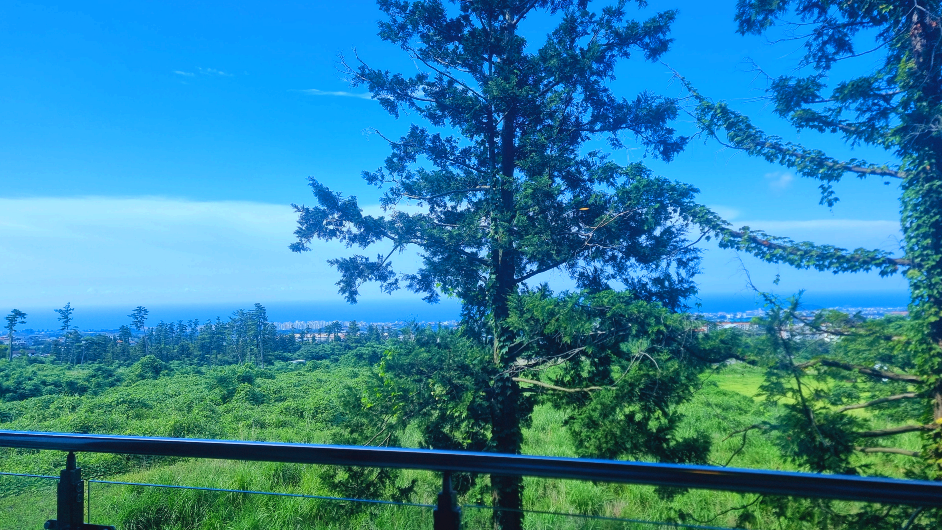 캠퍼트리 호텔앤리조트 내부