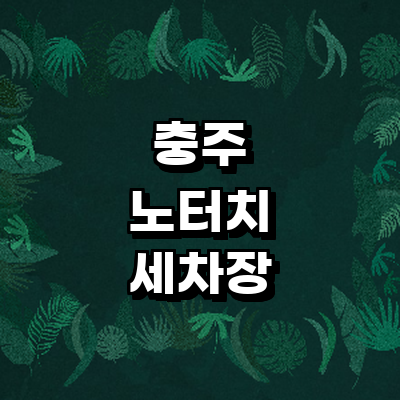 충주시 노터치 세차