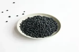 검은콩
