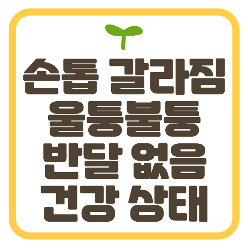 손톱 울퉁불퉁 갈라짐 반달 없음 건강 상태