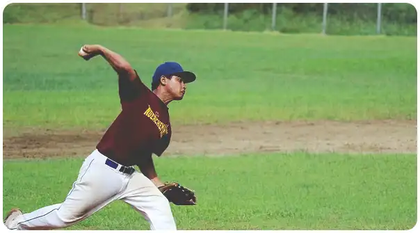 WBC와 WBSC(프리미어 12) 야구의 차이점