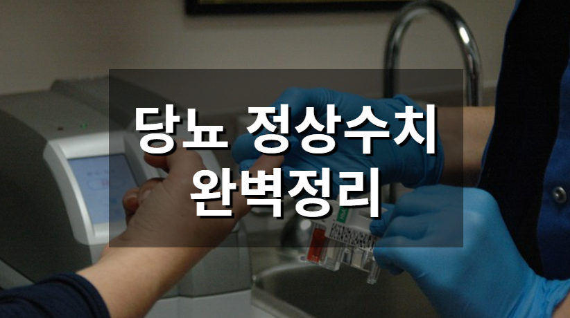 당뇨 정상수치 완벽 정리