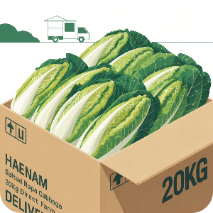해남 절임배추 20kg 직거래 이미지