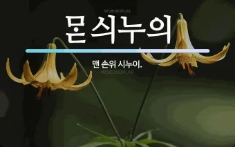 손위 시누이 남편 호칭과 가족 호칭 정리_9