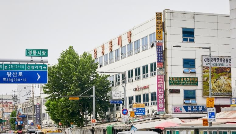 생방송투데이 살아보고서 경동시장 서울약령시장 대도상회 빛한의원 금성전파사 새로고침센터 스타벅스 경동1960점 동경통닭 맛집