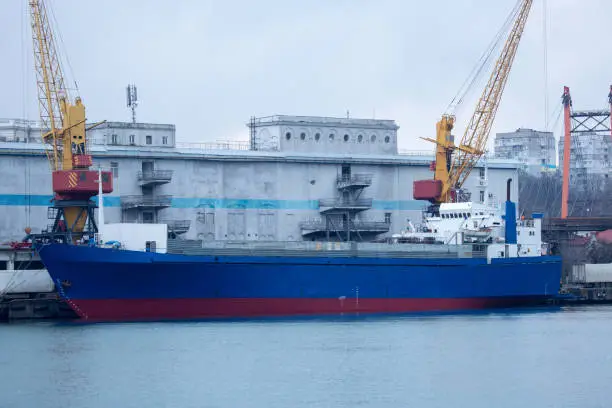 조선배에 관한 사진입니다.