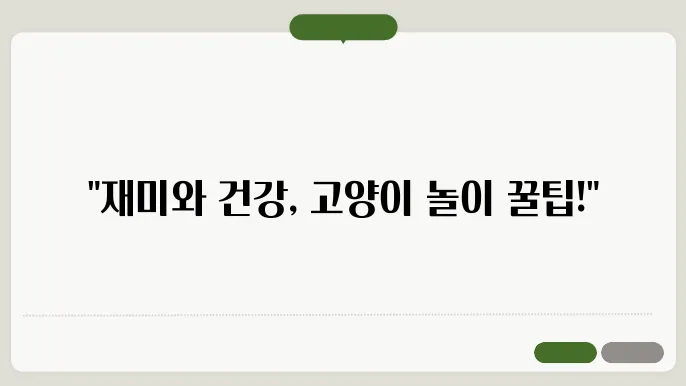 고양이가 좋아하는 장난감 추천과 하루 30분 활동량 높이는 꿀팁