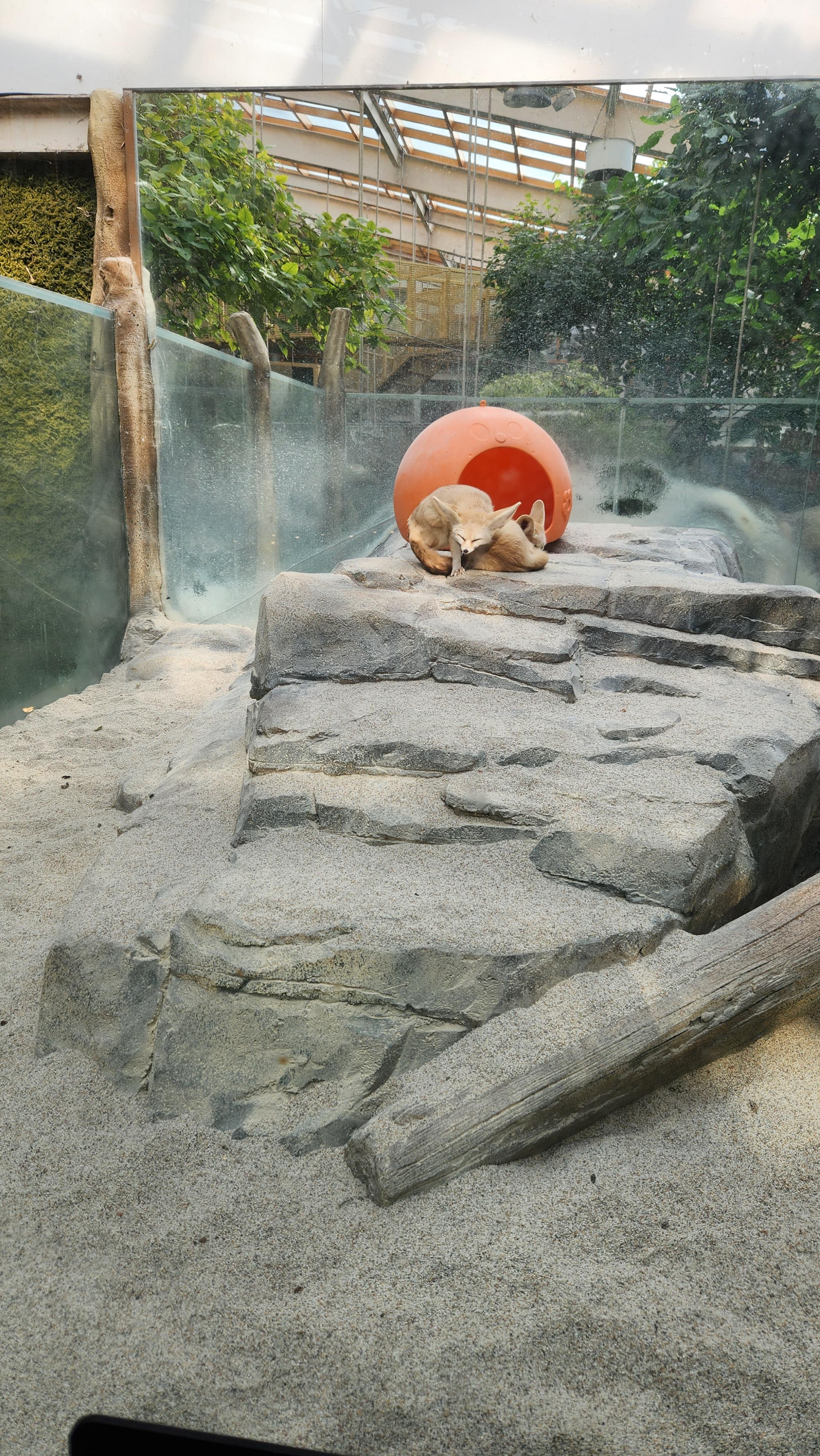 대구-네이처파크