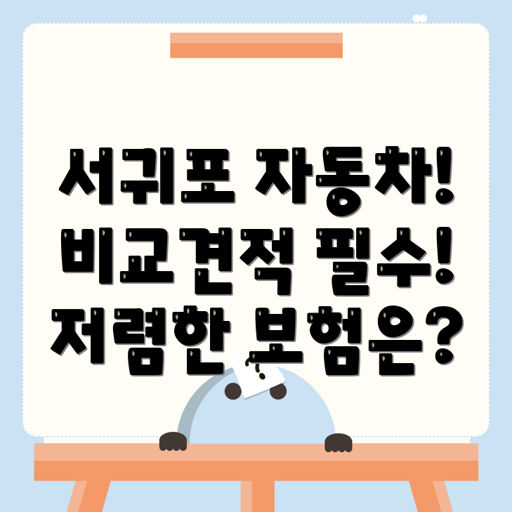 자동차보험