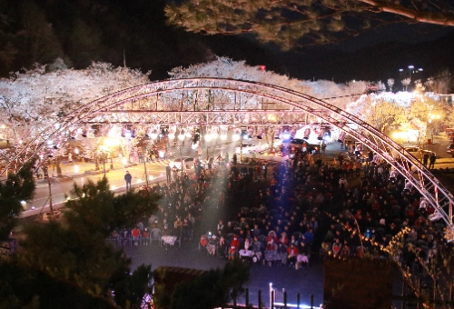 가평 벚꽃명소 에덴벚꽃길 벚꽃축제