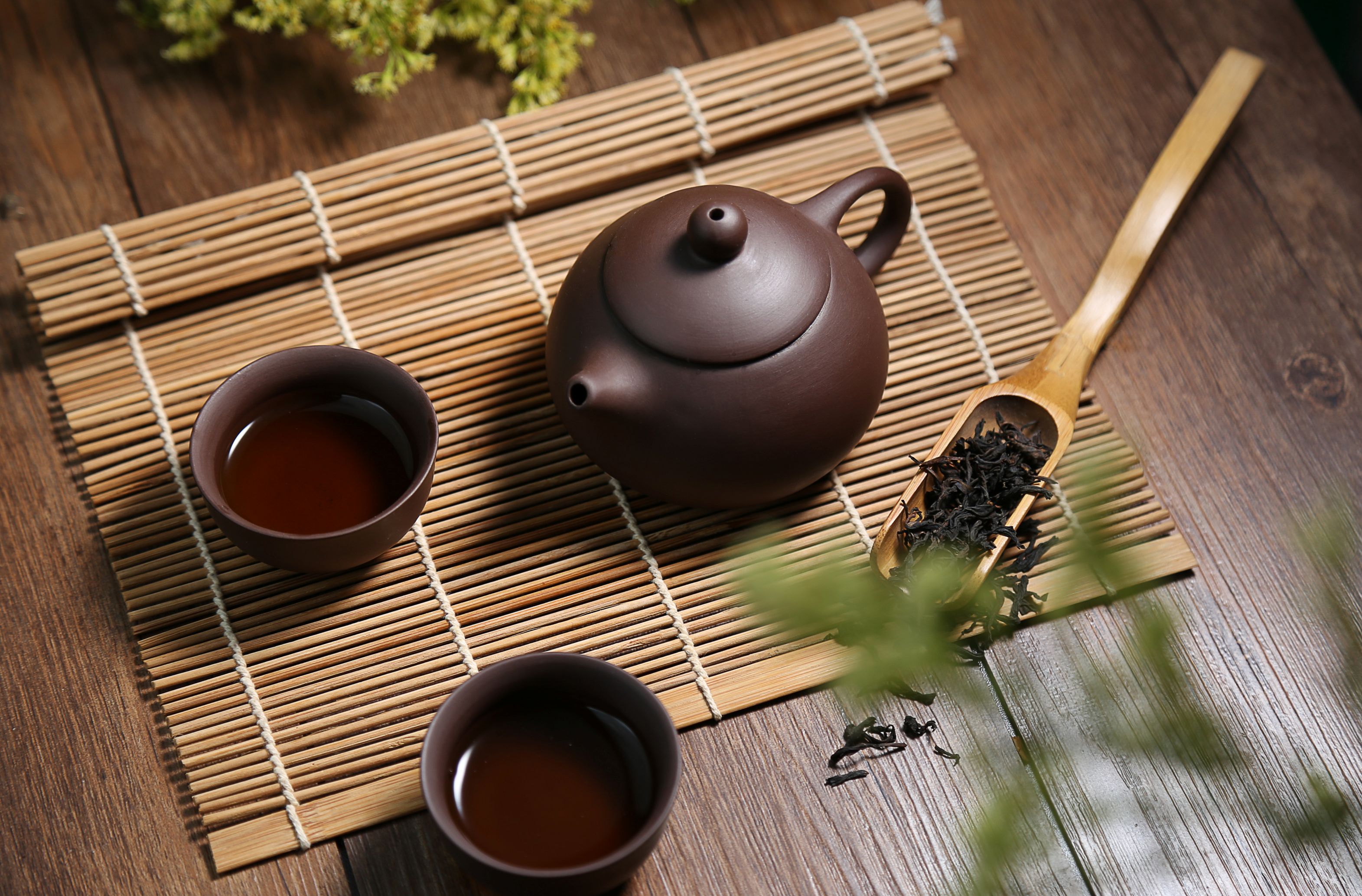 중국 백차가 왜 세계적으로 유명한 것일까?