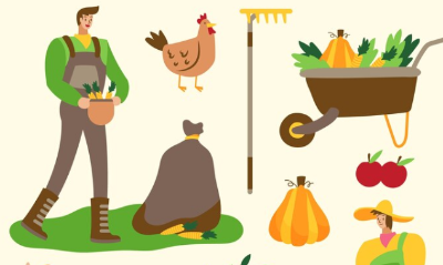 농식품바우처 신청