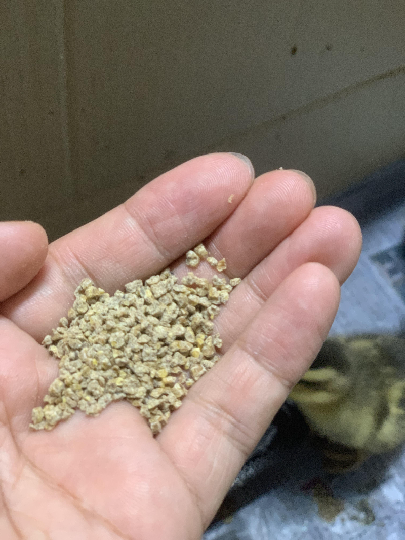 오리(병아리) 사료