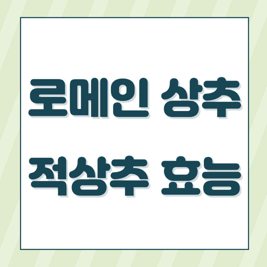 로메인 상추 적상추 효능
