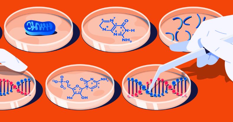 Calprotectin 수치와 임상적 의의